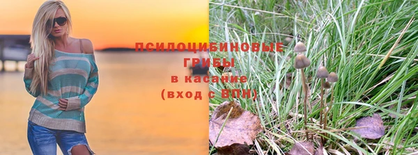 экстази Белокуриха