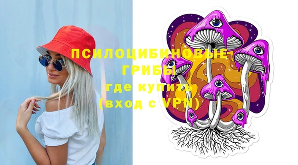 ГАЛЛЮЦИНОГЕННЫЕ ГРИБЫ Беломорск