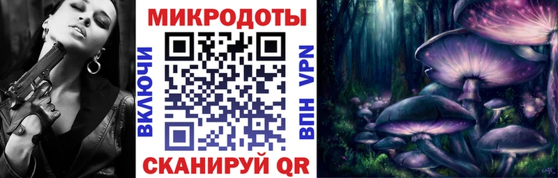 Купить где  Ярцево  Псилоцибиновые грибы мицелий 