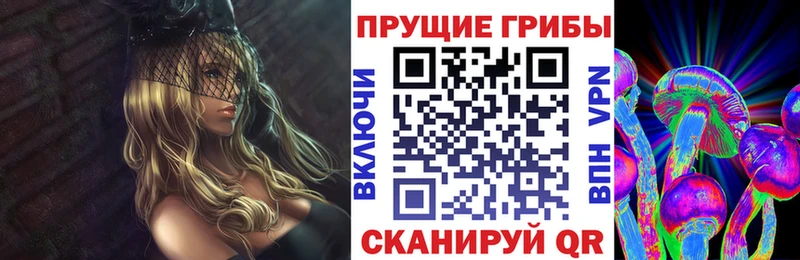Псилоцибиновые грибы Psilocybe Ярцево