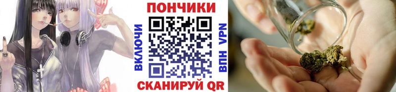 Шишки марихуана SATIVA & INDICA  Купить закладки  Ярцево 